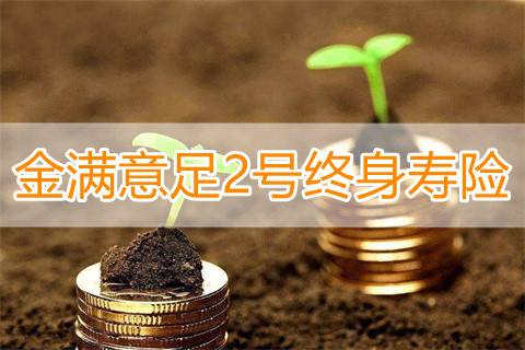 2022长城人寿金满意足2号终身寿险收益如何?靠谱吗?