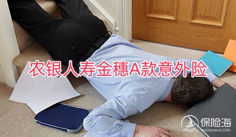 农银人寿金穗A款意外险怎么样?多少钱一年?