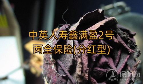 中英人寿鑫满盈2号两全保险(分红型)保什么?收益如何?