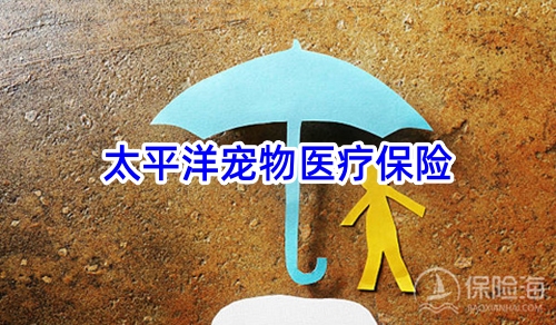 太平洋宠物医疗保险怎么买?多少钱?